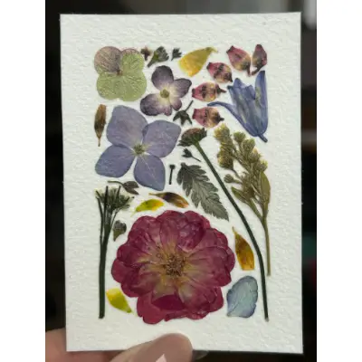 Pressed Flowers #13 (Floral Series) aceo art card thumbnail 2