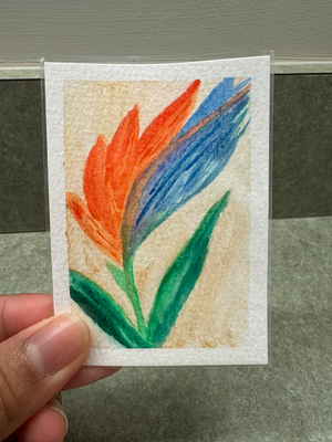 Birds of Paradise aceo art card thumbnail 1