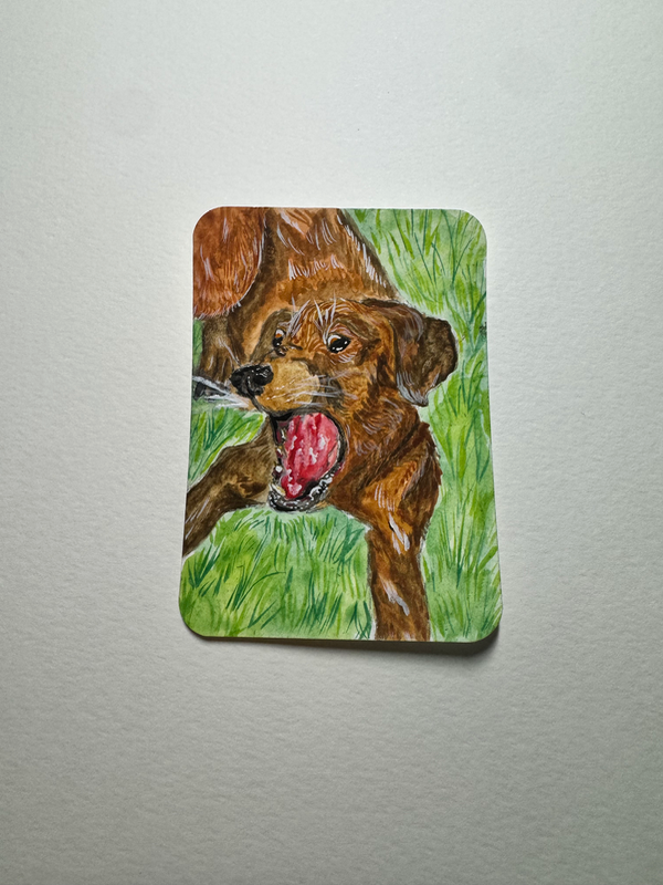 Chocolate lab Watercolor Pet Portrait Dog Playing Outdoor Ashley Leary aceo art card