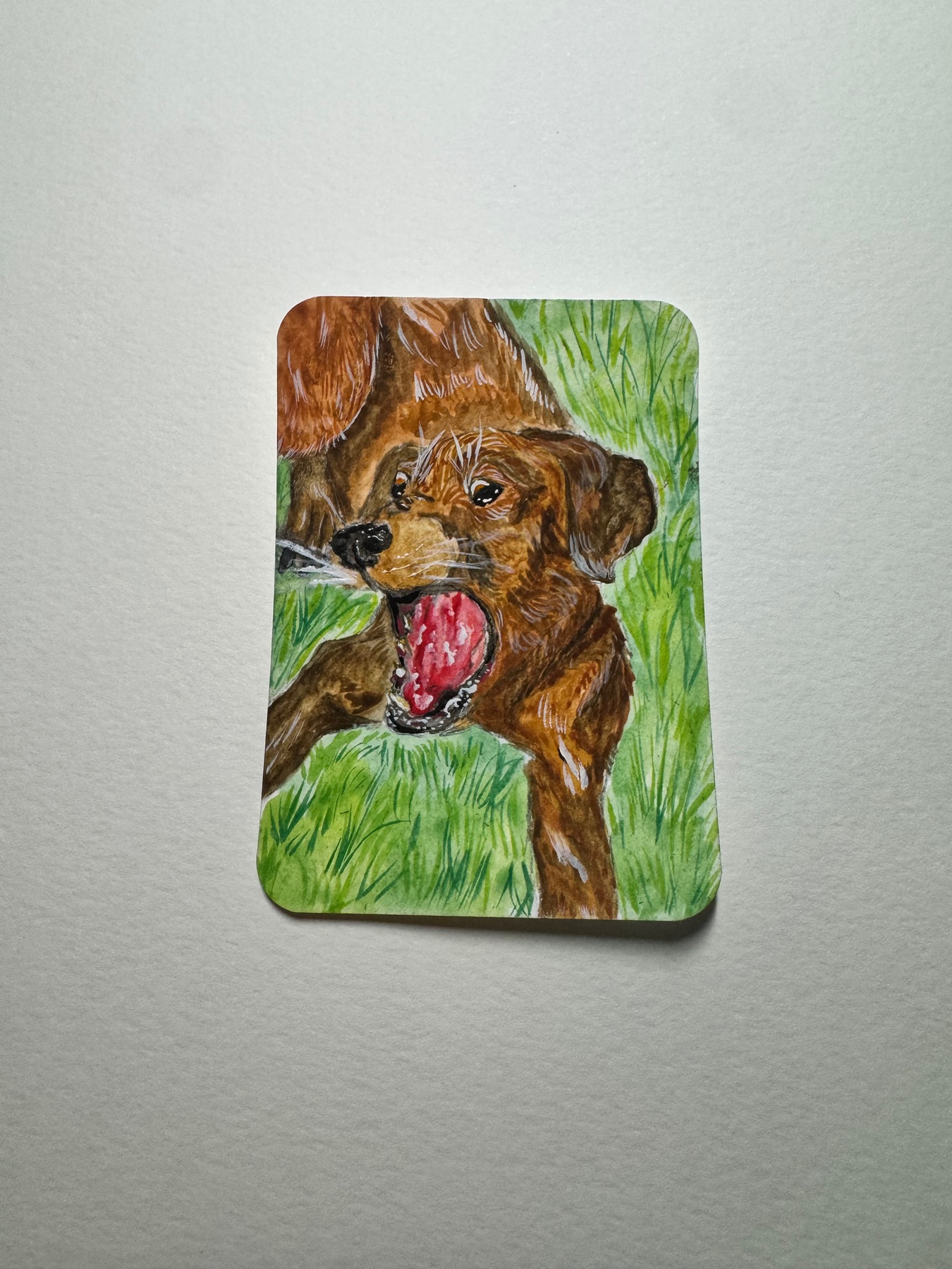 Chocolate lab Watercolor Pet Portrait Dog Playing Outdoor Ashley Leary aceo art card
