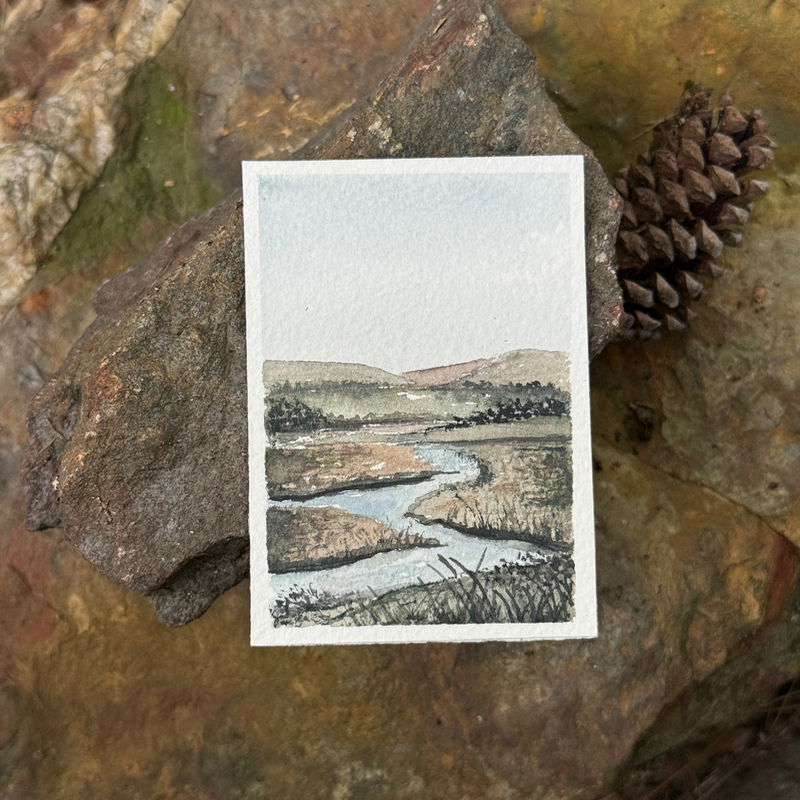 ACEO Watercolor, Landscape, Original, Marsh, “Marsh pond”, 3.5x2.5in, By Lark Watercolor and Art aceo art card