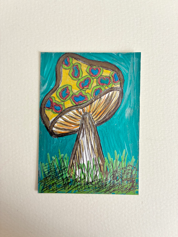 Meadocelium aceo art card