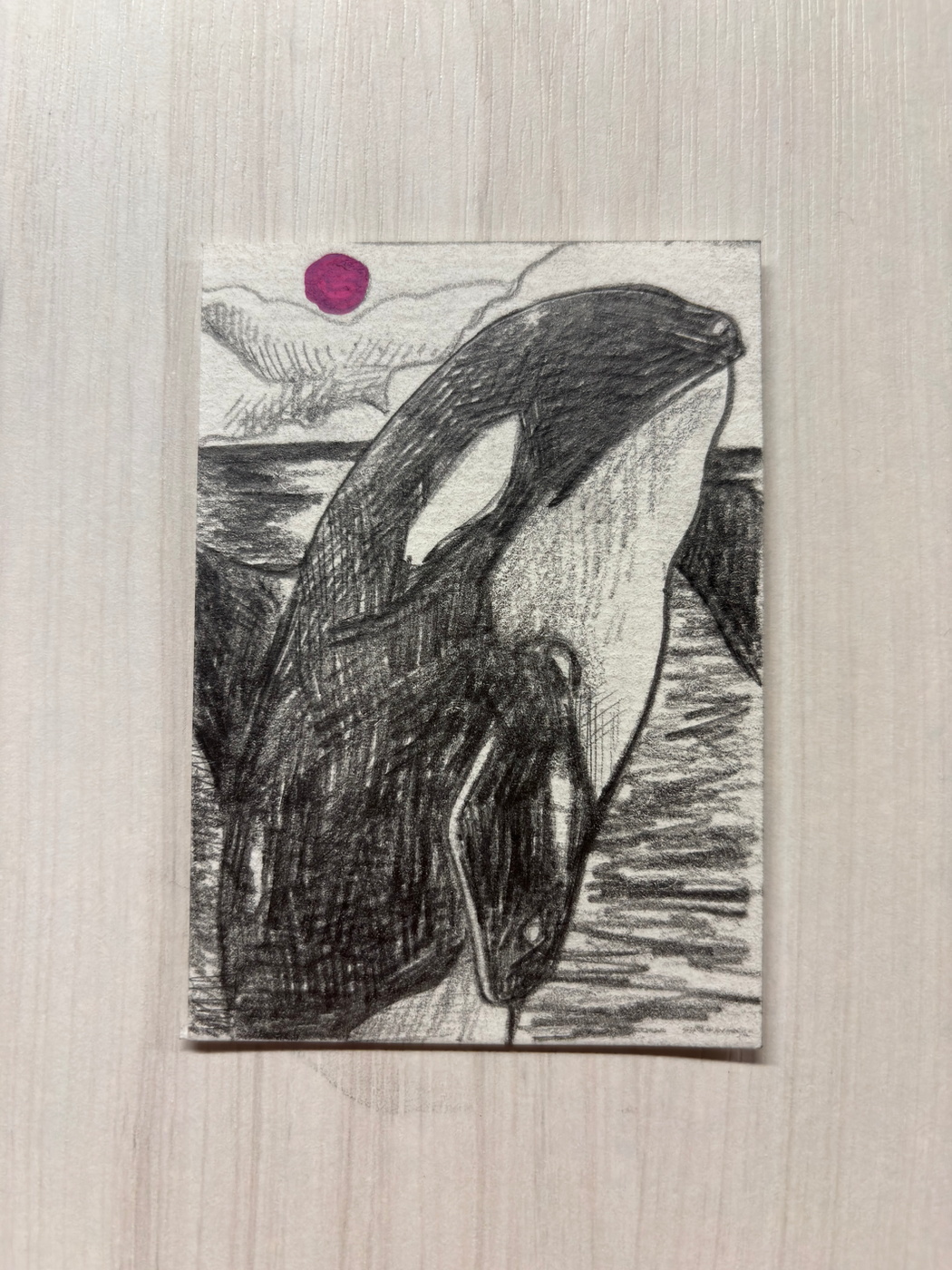 Orca aceo art card