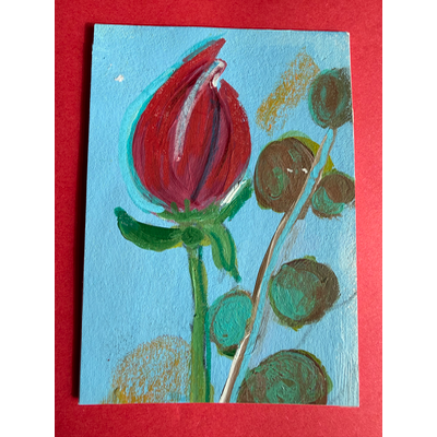 Crimson Bud And Silver Dollar Eucalyptus aceo art card thumbnail 4
