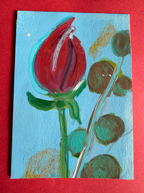 Crimson Bud And Silver Dollar Eucalyptus aceo art card