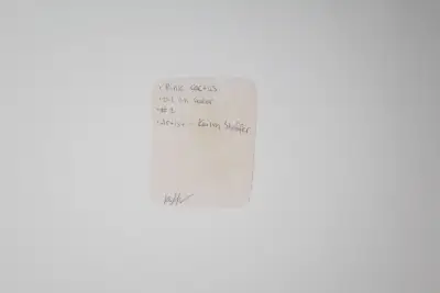 ACEO Art Card "Pink Catcus" Original Oil Paper Painting 1 of 1 aceo art card thumbnail 3