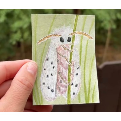 Fuzzy moth aceo art card thumbnail 2