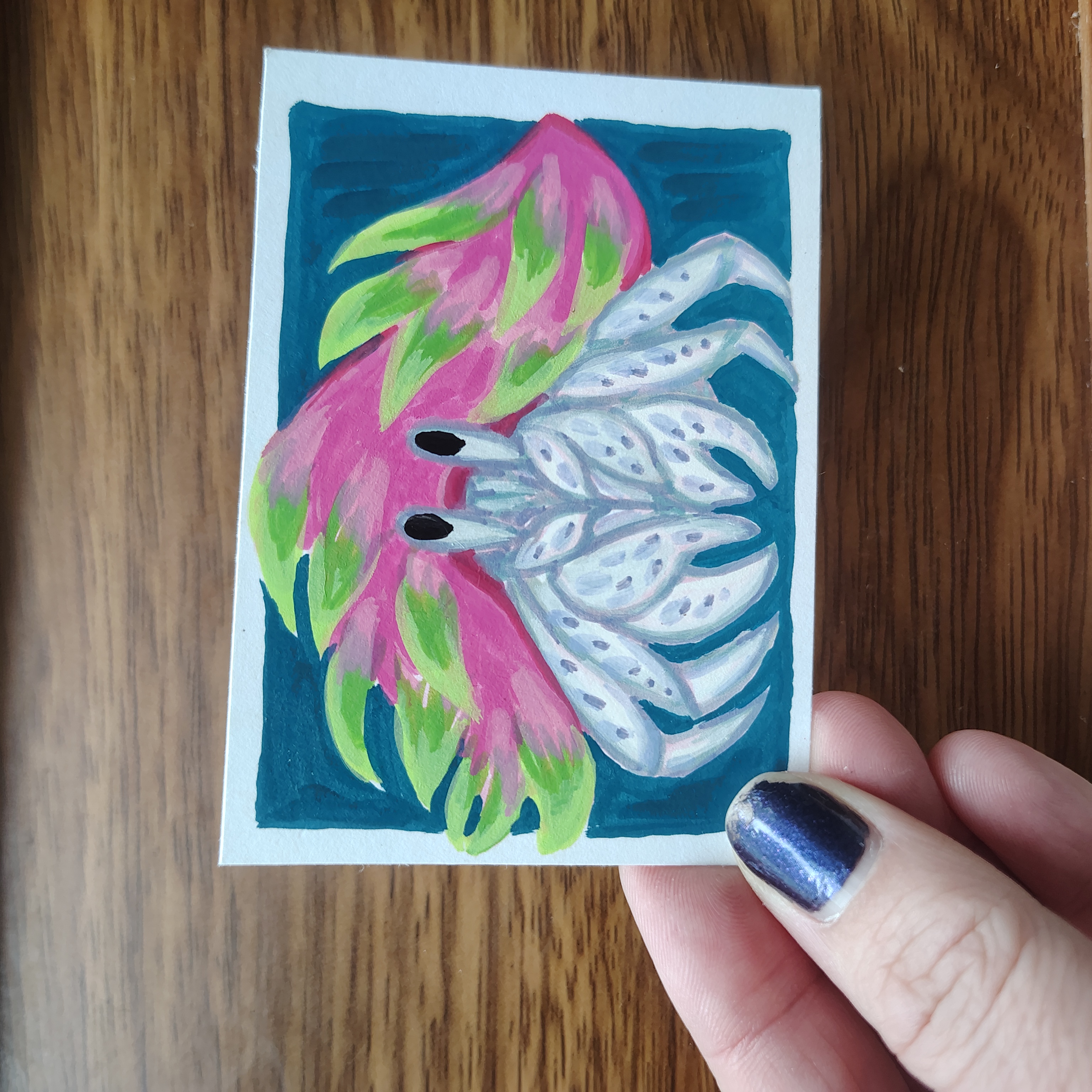 Dragonfruit Hermit Crab (fruit crab, 1 of 4) aceo art card