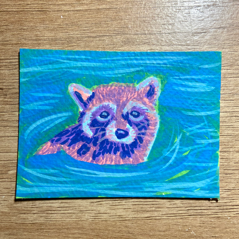 Raccoon - “trash panda” aceo art card
