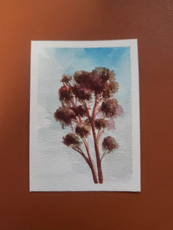 Fall of Giants 2 - Eucalpytus tree aceo art card