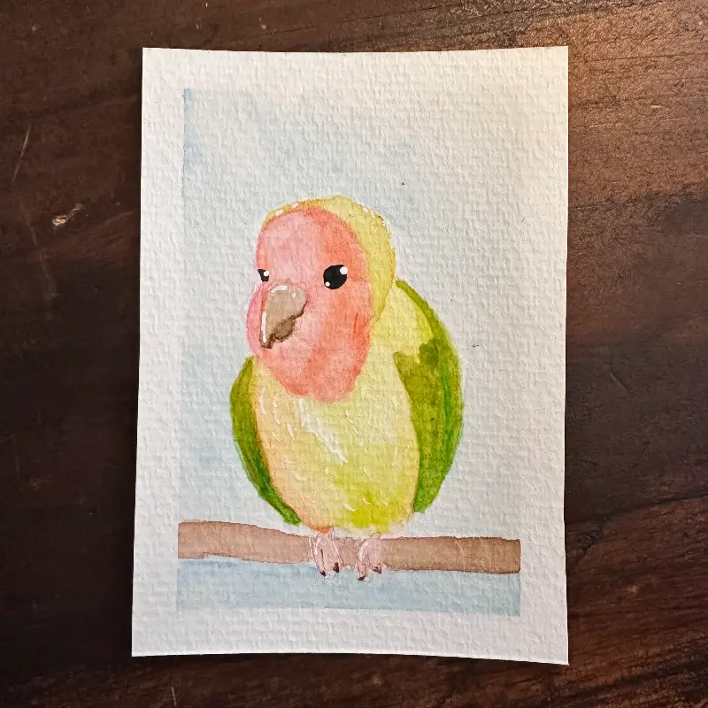 Peach and green bird aceo art card