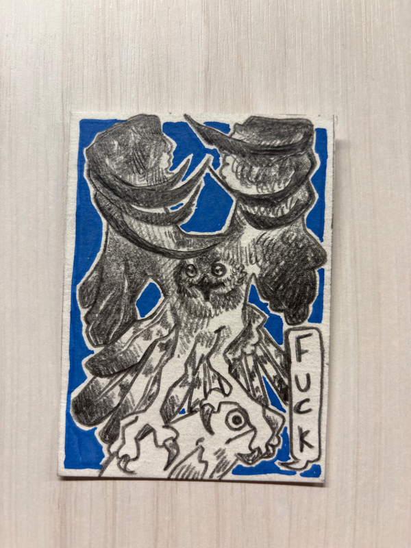 Osprey aceo art card