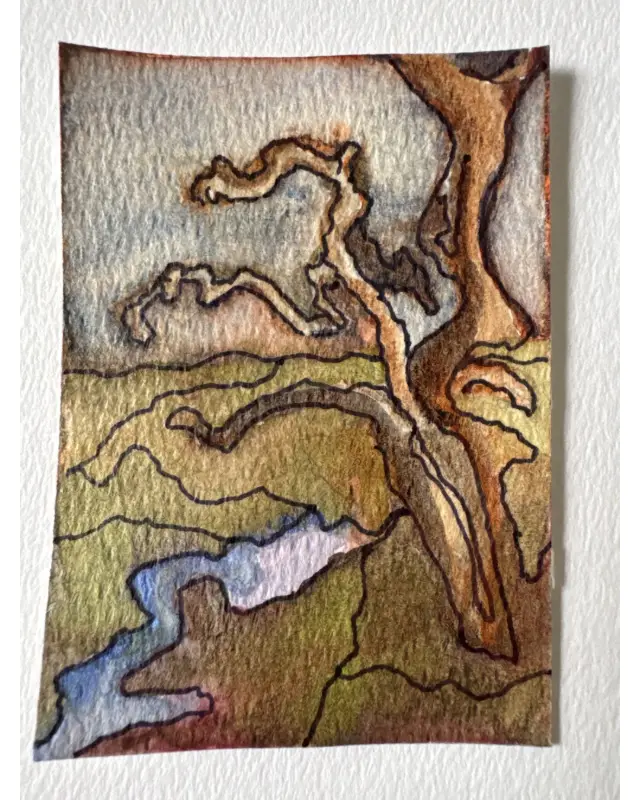 Arizona IV aceo art card