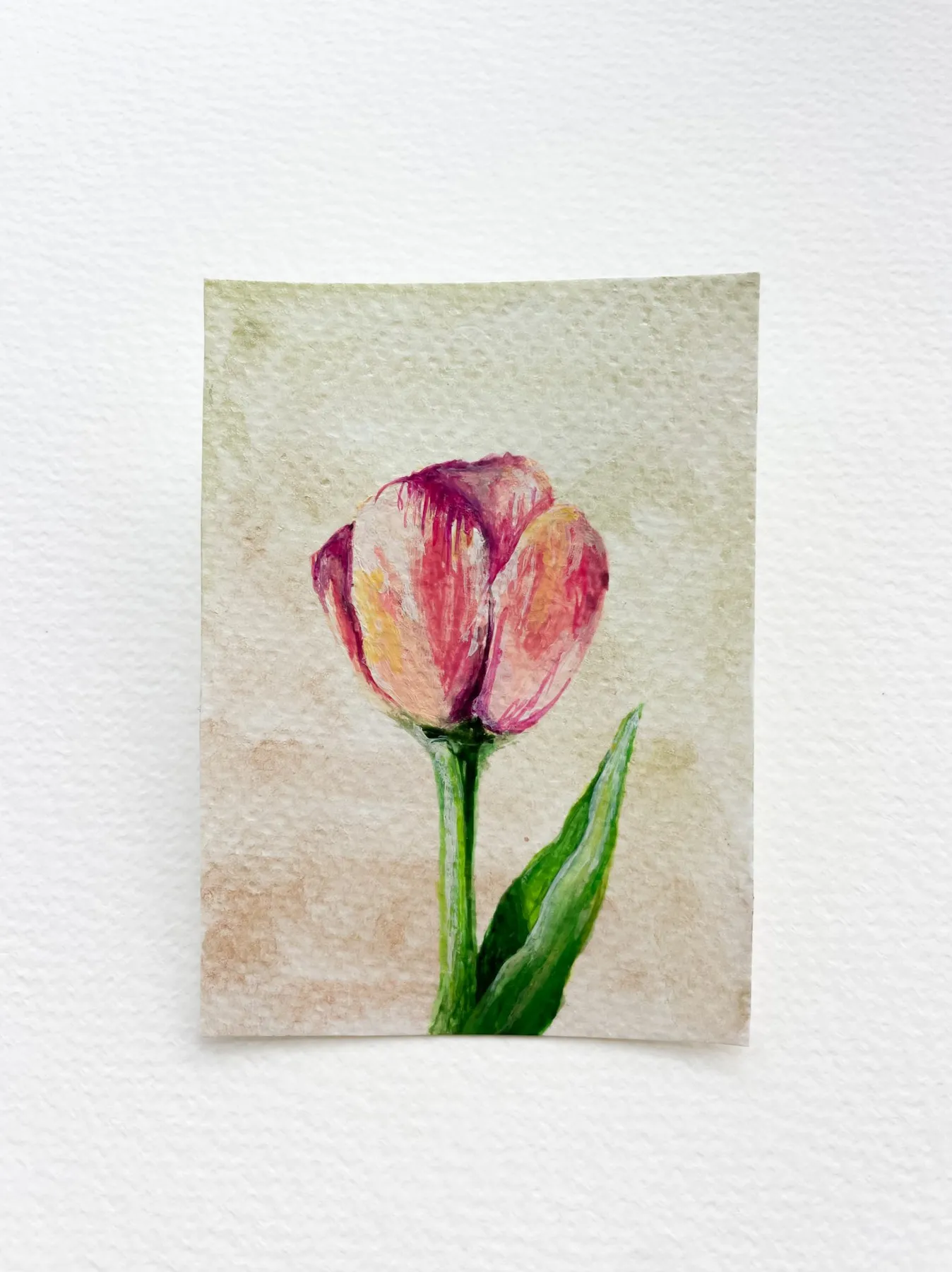 Stolen Petals | Small Magics from the Woods Series aceo art card