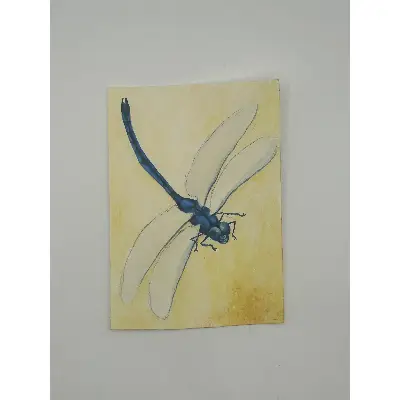Blue Dragonfly aceo art card thumbnail 2