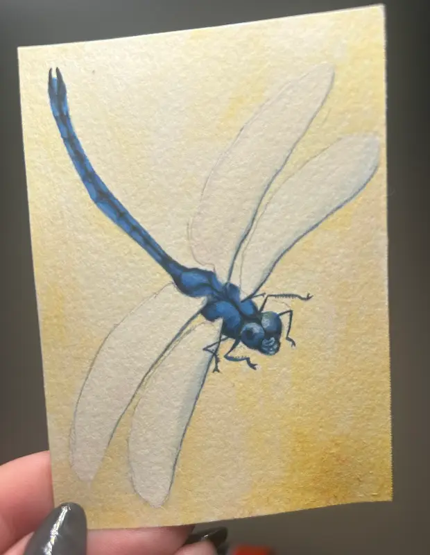 Blue Dragonfly aceo art card