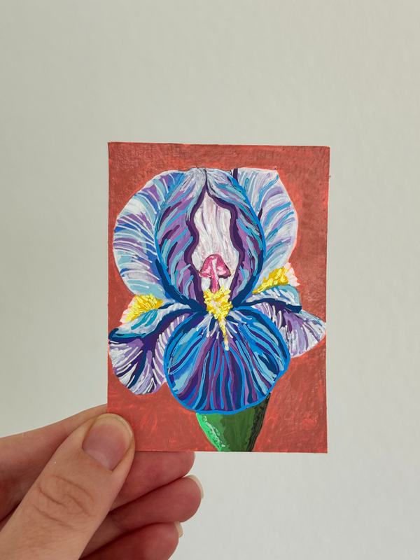 The Iris aceo art card