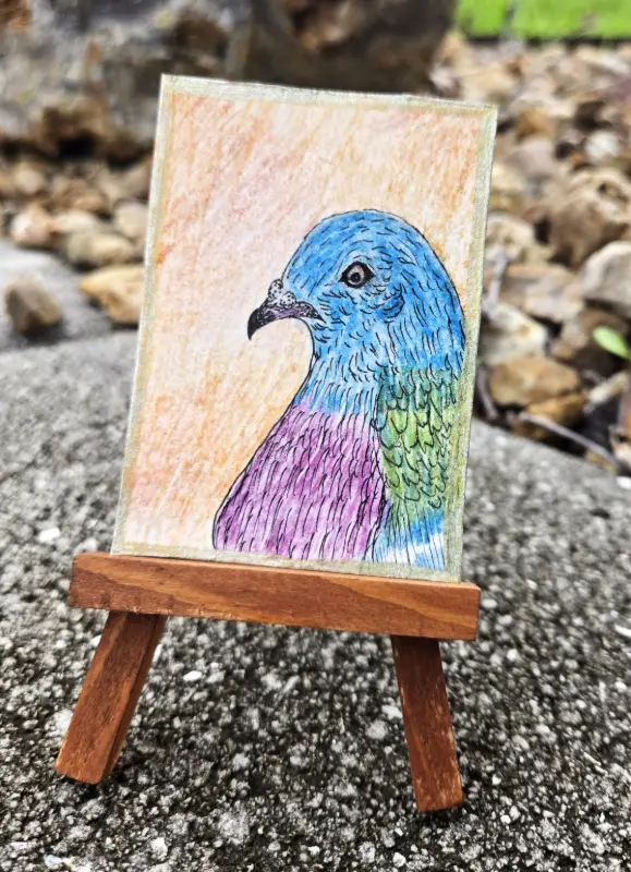 Carl aceo art card