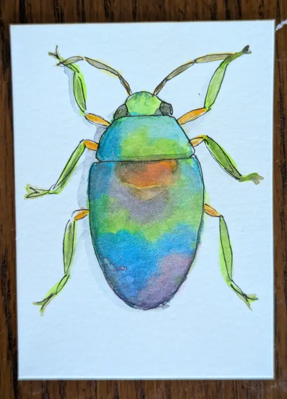 ACEO Original Watercolor and Ink Jewel Bug aceo art card