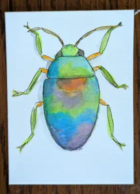 ACEO Original Watercolor and Ink Jewel Bug aceo art card thumbnail 1