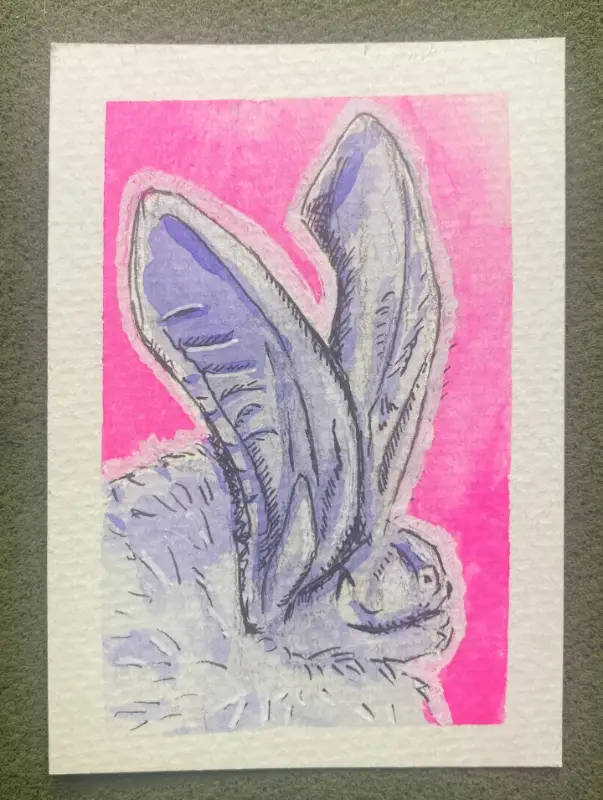 All Ears No.1, Townsend's Big-Eared Bat aceo art card