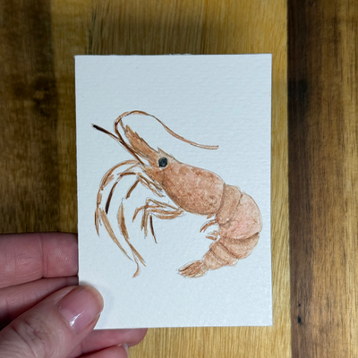 ACEO Watercolor, Seafood, Shrimp, Original, 3.5x2.5in, By Lark Watercolor and Art aceo art card thumbnail 1