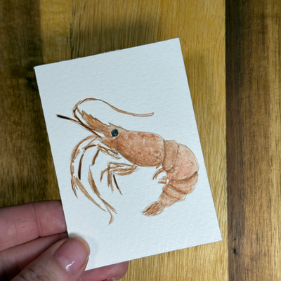 ACEO Watercolor, Seafood, Shrimp, Original, 3.5x2.5in, By Lark Watercolor and Art aceo art card thumbnail 2
