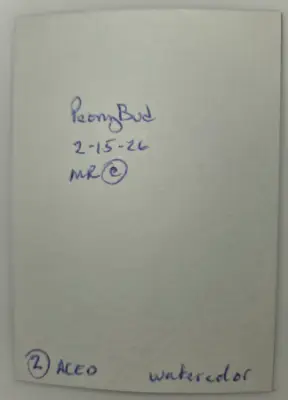 Peony bud aceo art card thumbnail 2