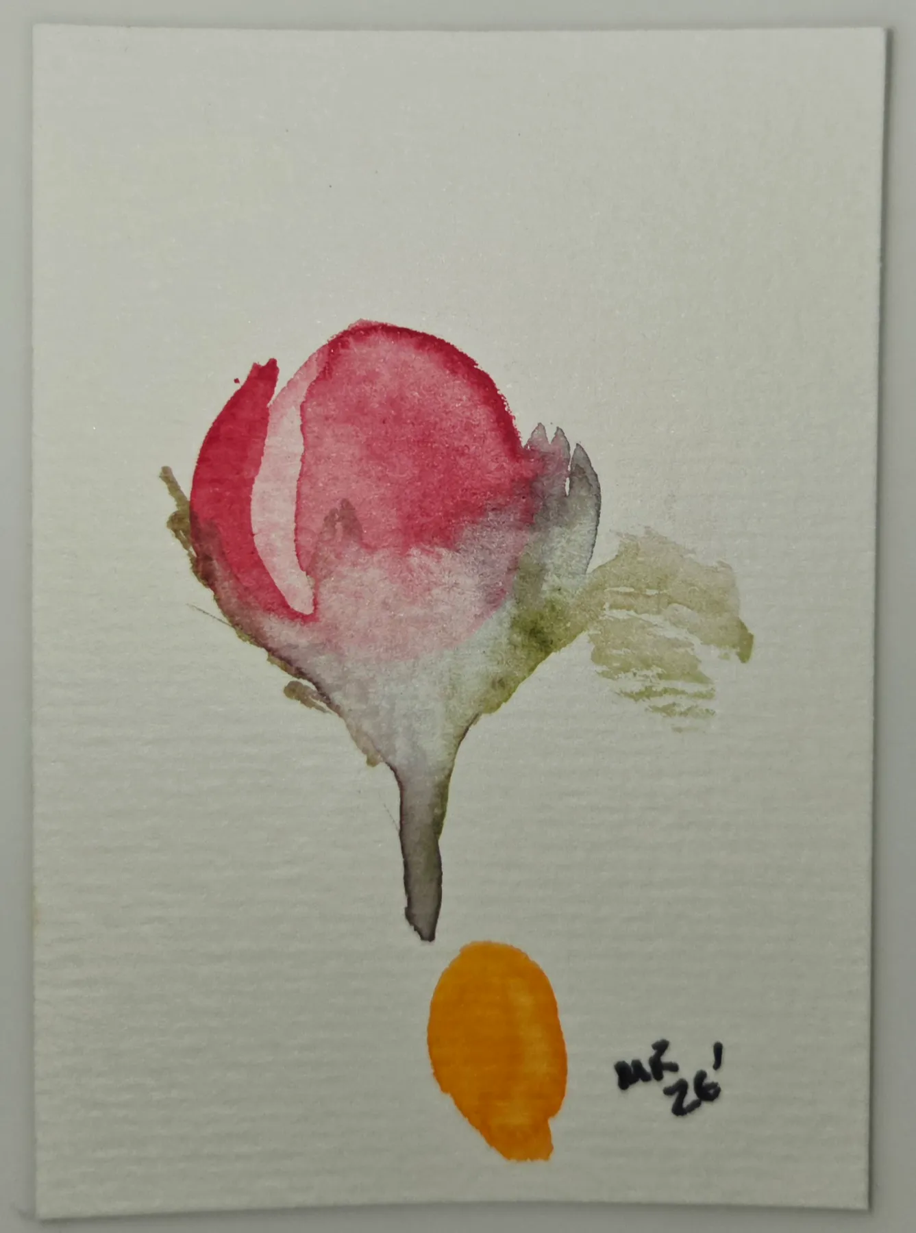 Peony bud aceo art card