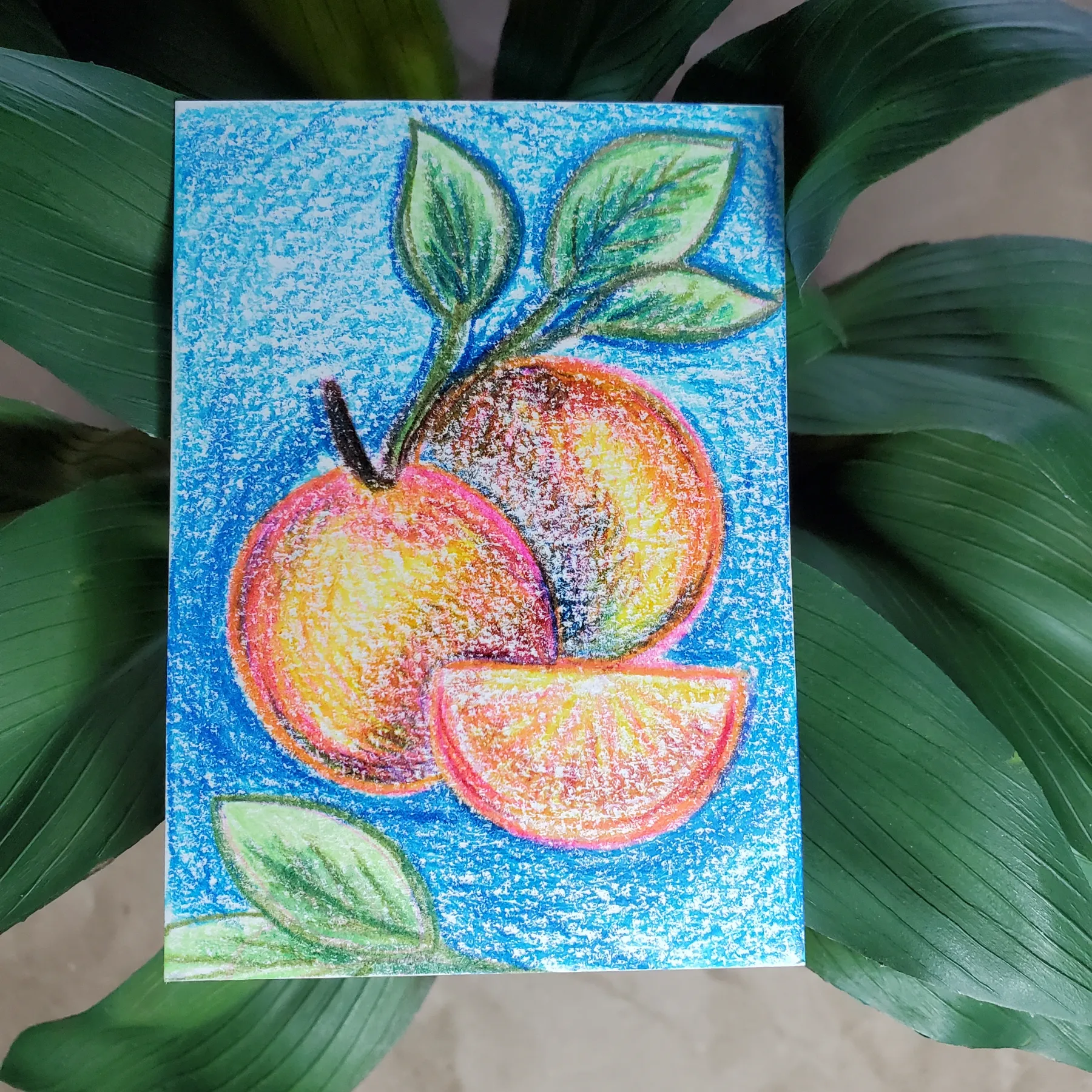Sketched Oranges aceo art card