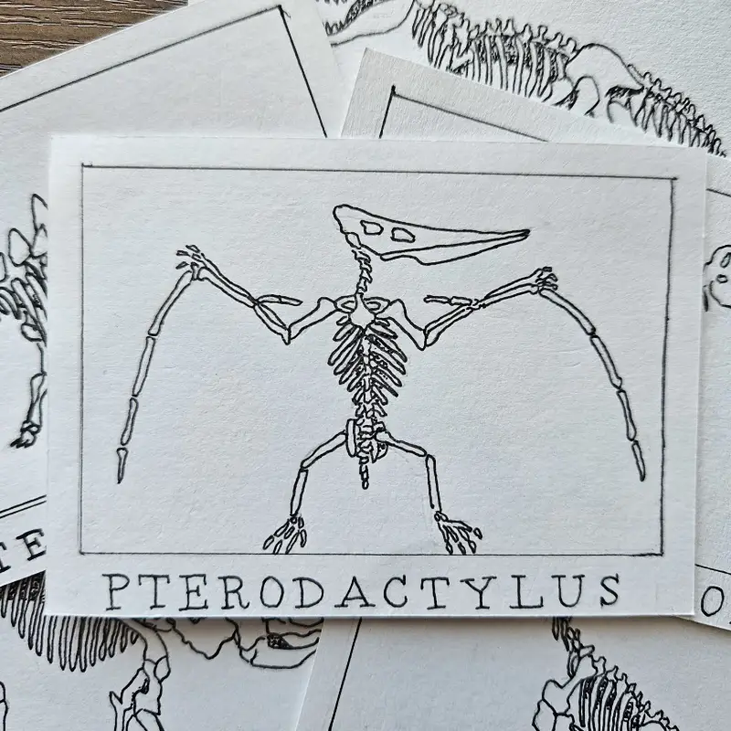 Ink Pocket Paleontology #2 aceo art card