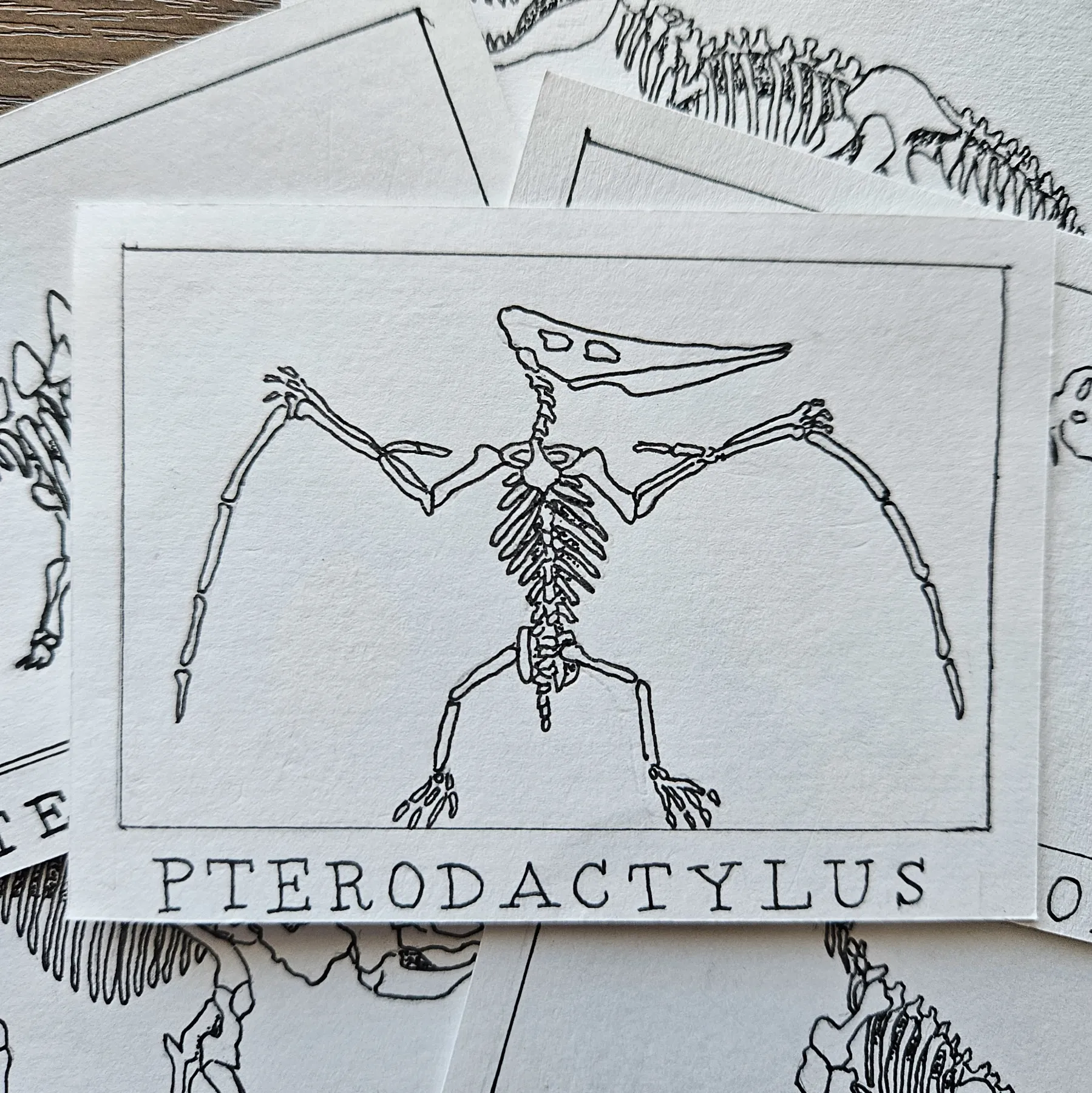 Ink Pocket Paleontology #2 aceo art card