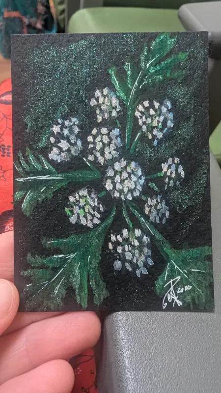 Cicuta maculata aceo art card