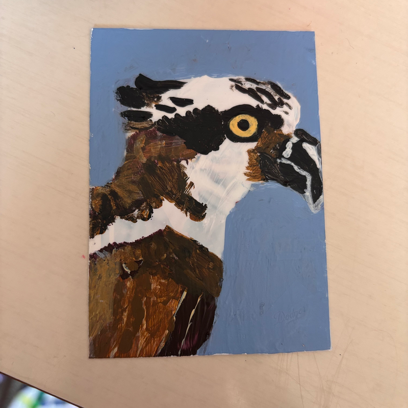 ACEO Original Acrylic Paint, Marker Hawk 2.5x3.5 On Paper by KL aceo art card