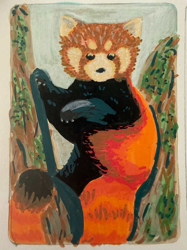 Red Panda aceo art card
