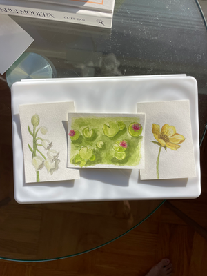 Botanical Study aceo art card thumbnail 1