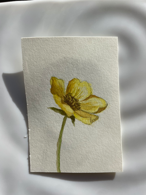 Botanical Study aceo art card thumbnail 3