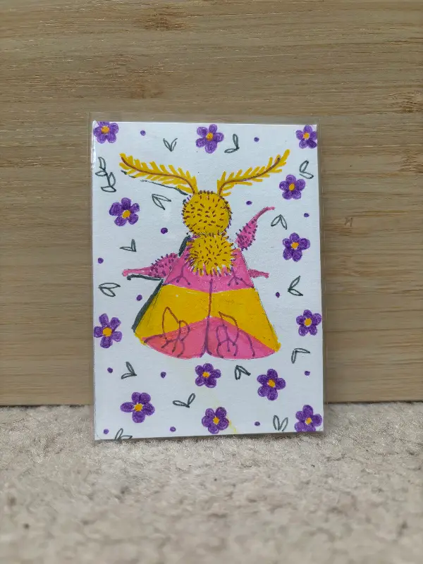 Rosy Maple Moth aceo art card