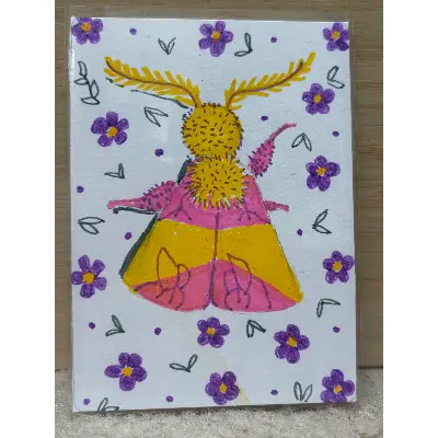 Rosy Maple Moth aceo art card thumbnail 2