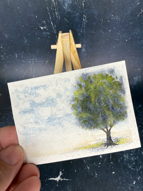 Shade aceo art card