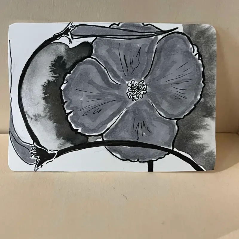botanical floral study aceo art card