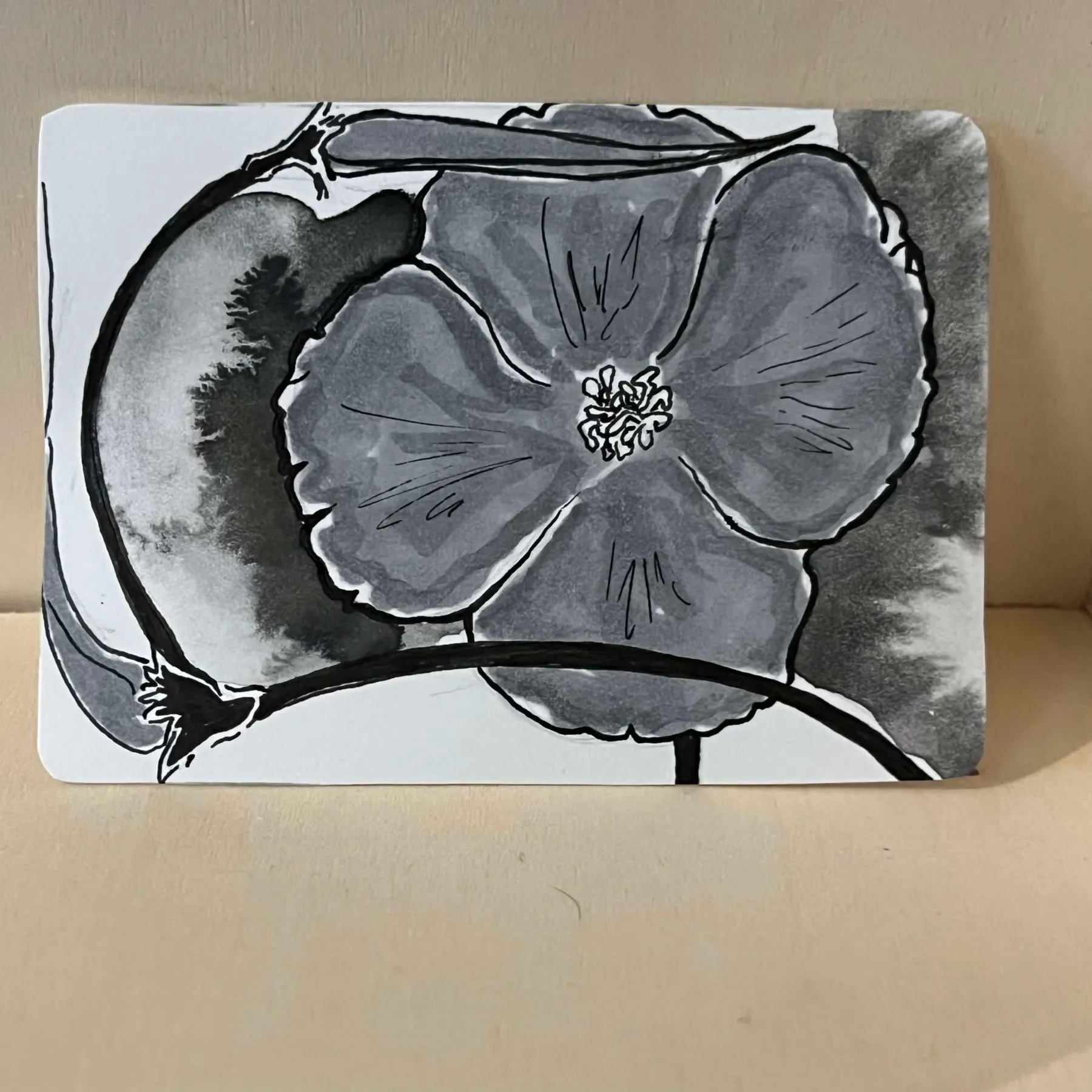 botanical floral study aceo art card