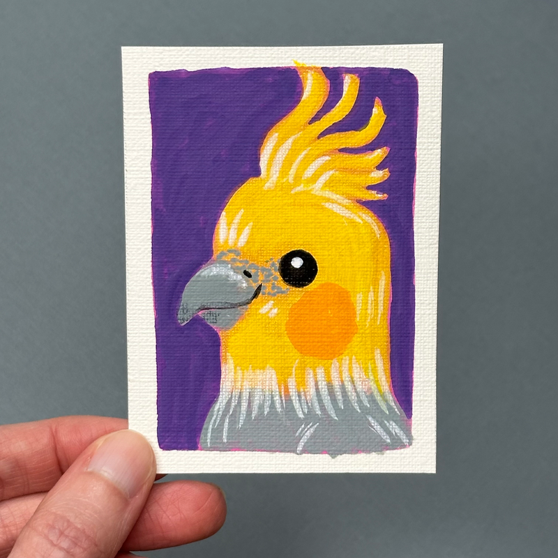 Cockatiel on Purple aceo art card