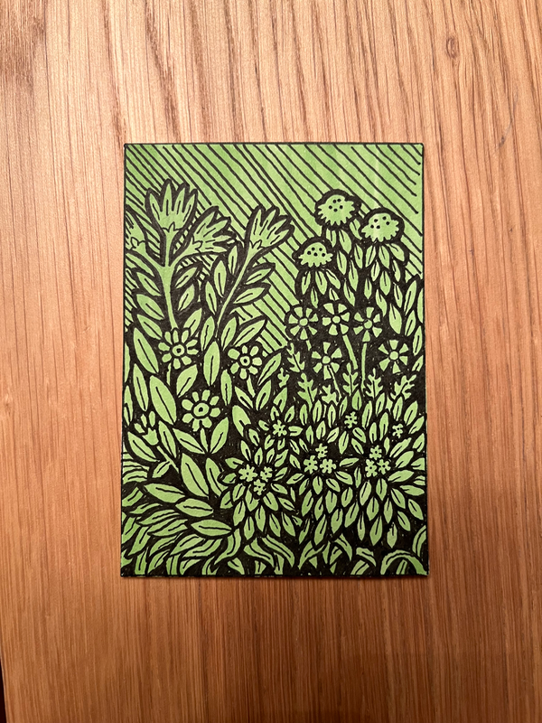 View from the flower bed aceo art card