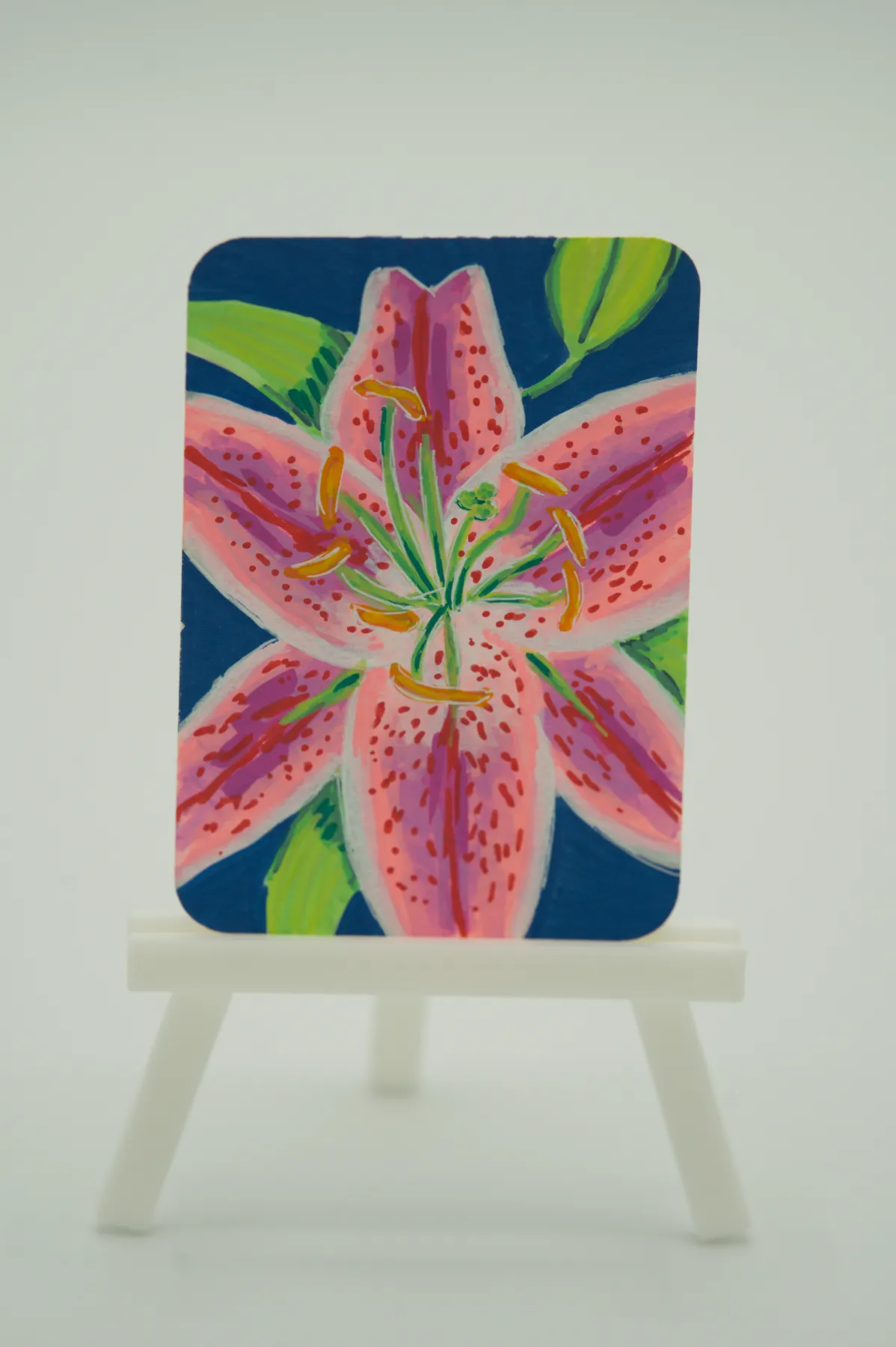 Stargazer Lily aceo art card