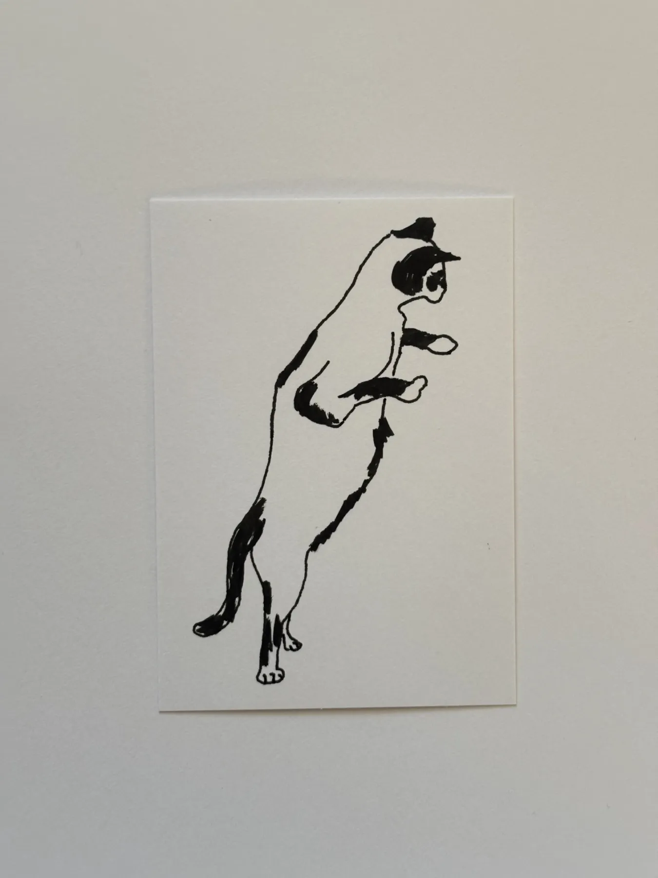 Perched Cat aceo art card