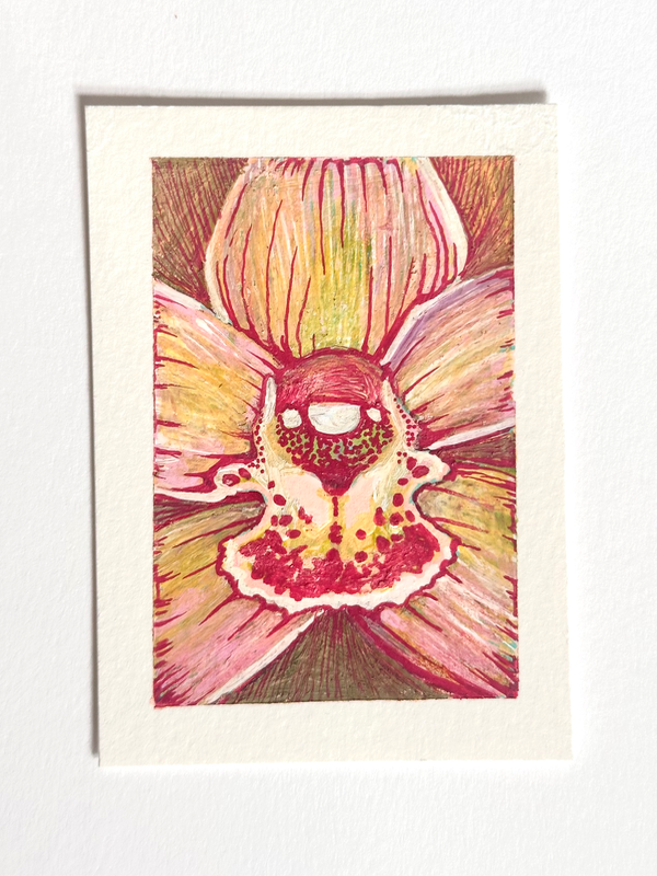 Orchid aceo art card