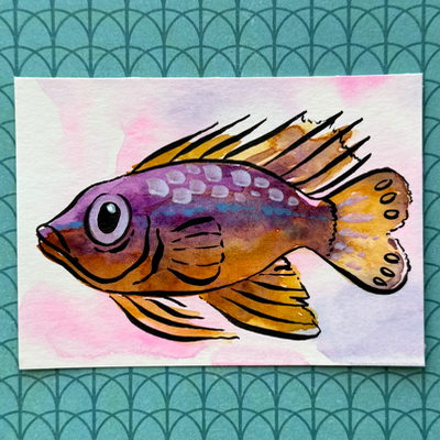 Purple Fish aceo art card thumbnail 1