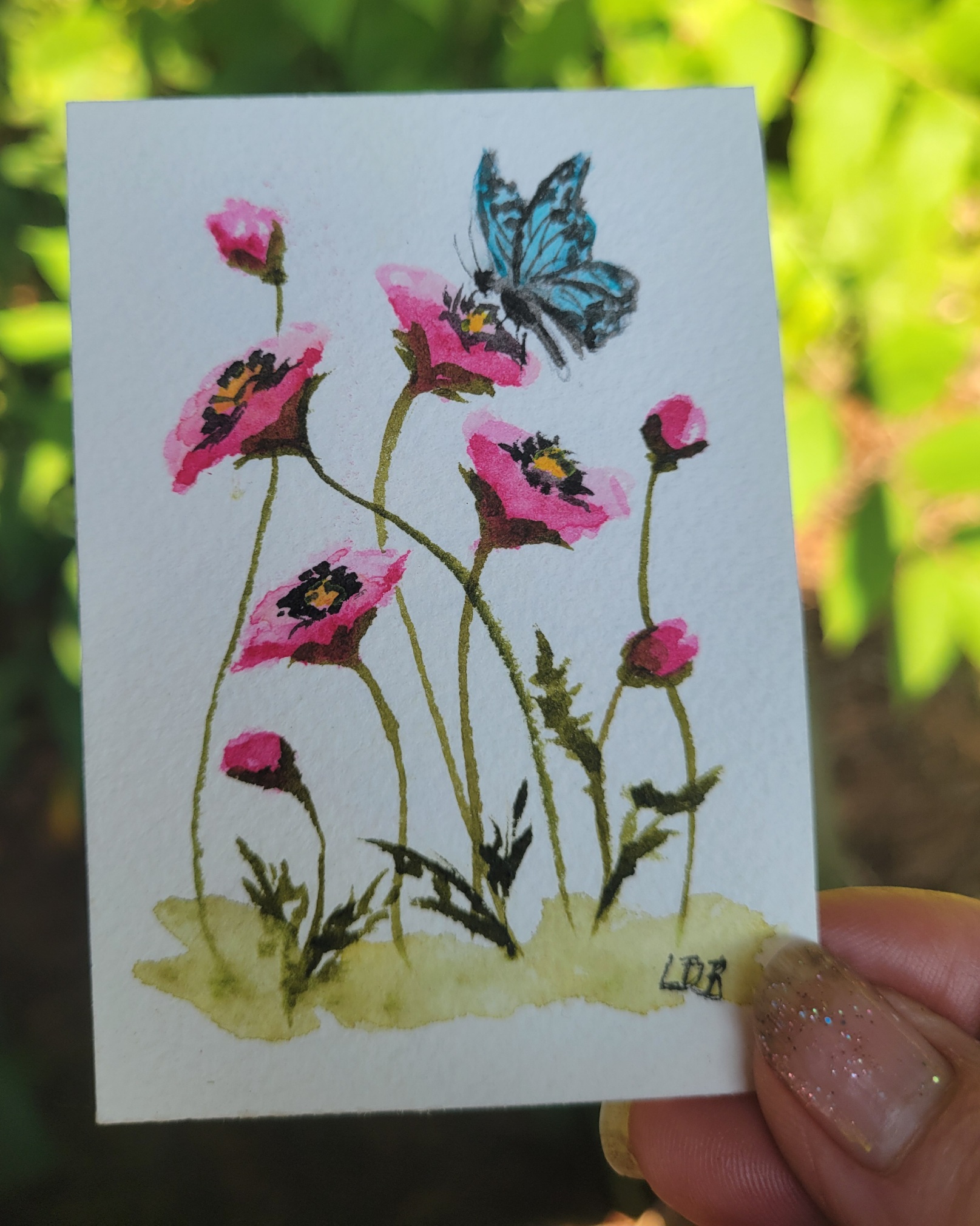 Butterfly Blue and Poppies Too aceo art card thumbnail 1
