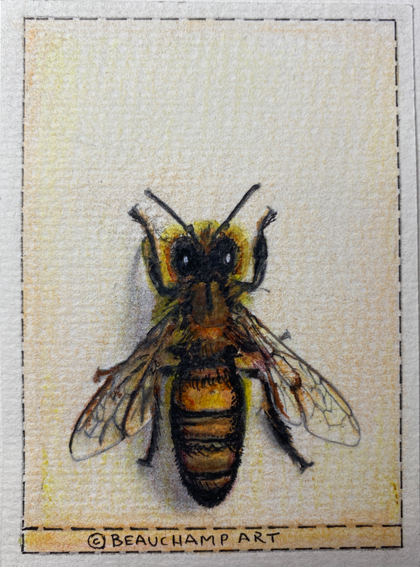 Bee Kind to Honey Girl aceo art card